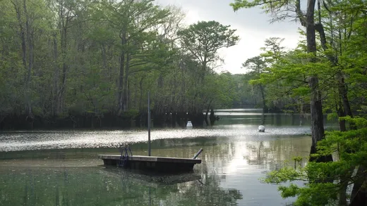 Overlanding the US and Canada, 2023 — FLORIDA