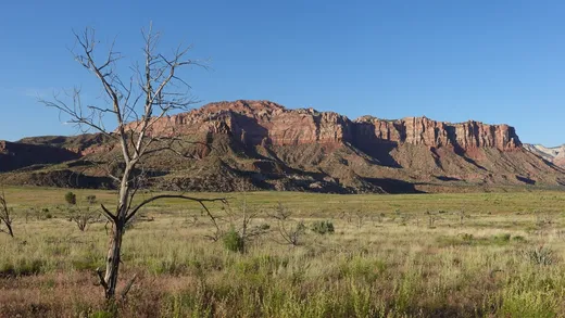 Overlanding the US and Canada, 2023 — ZION